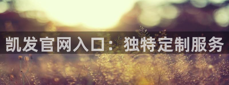门徒娱乐2平台注册：凯发官网入口：独特定制服务