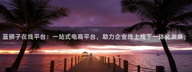 门徒娱乐体育免费注册入口：蓝狮子在线平台：一站式电商平台，助力企业线上线下一体化
