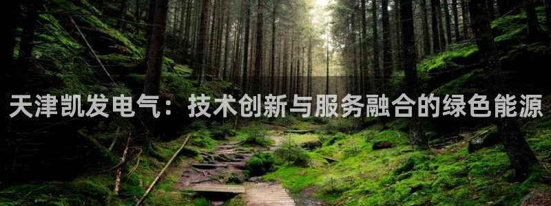 门徒娱乐：天津凯发电气：技术创新与服务融合的绿色能源