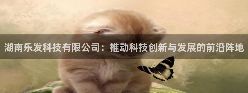 门徒娱乐pg：湖南乐发科技有限公司：推动科技创新与发展的前沿阵地