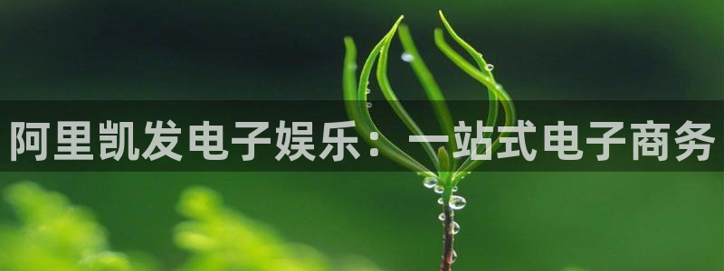 福建门徒娱乐机电股份公司：阿里凯发电子娱乐：一站式电子商务