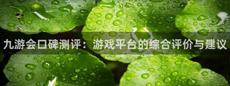门徒娱乐加拿大下载：九游会口碑测评：游戏平台的综合评价与建议