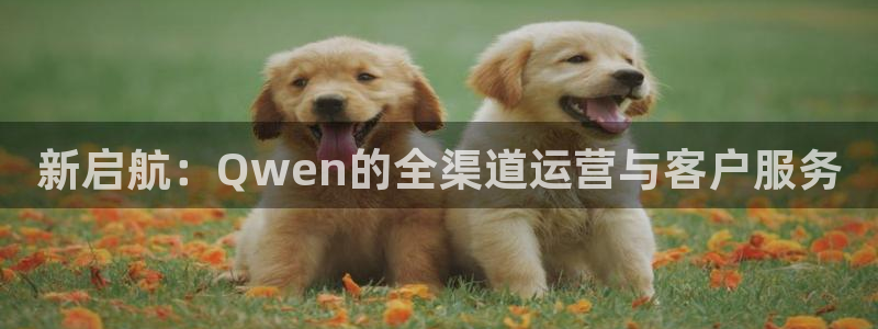 门徒娱乐电玩网官网入口：新启航：Qwen的全渠道运营与客户服务