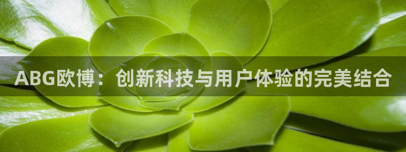门徒娱乐登陆：ABG欧博：创新科技与用户体验的完美结合