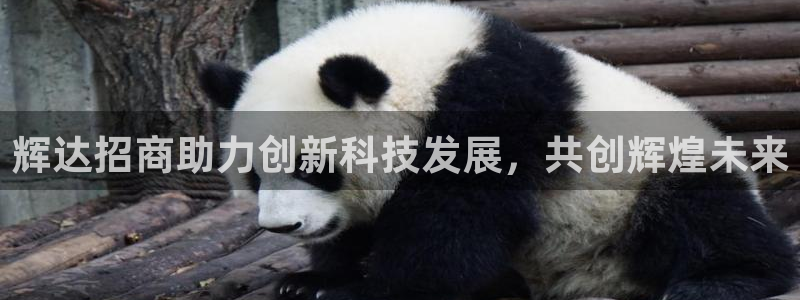 门徒娱乐体育2官网入口：辉达招商助力创新科技发展，共创辉煌未来
