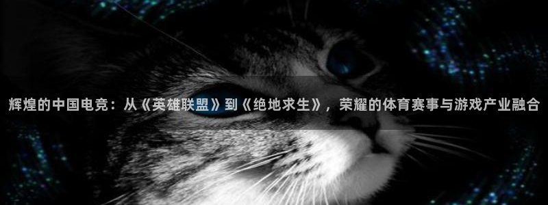 门徒娱乐体育f开号：辉煌的中国电竞：从《英雄联盟》到《绝地求生》，荣耀的体育赛事