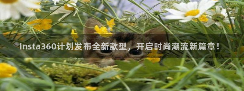 门徒娱乐平台登录入口：Insta360计划发布全新款型，开启时尚潮流新篇章！