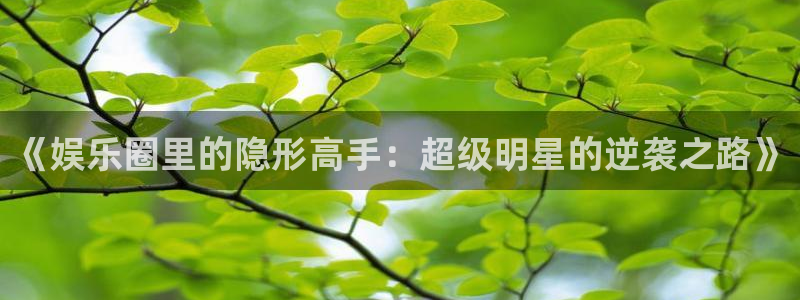 门徒娱乐：《娱乐圈里的隐形高手：超级明星的逆袭之路》