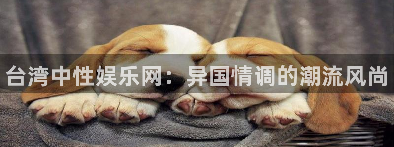 门徒娱乐2官网：台湾中性娱乐网：异国情调的潮流风尚