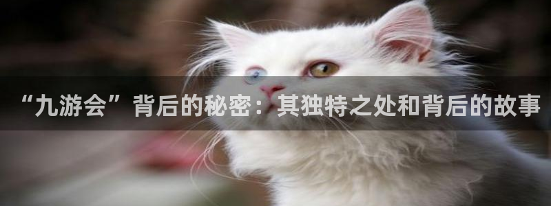 上海门徒娱乐汽车电子有限公司：“九游会”背后的秘密：其独特之处和背后的故事