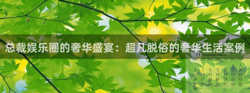 门徒娱乐：总裁娱乐圈的奢华盛宴：超凡脱俗的奢华生活案例