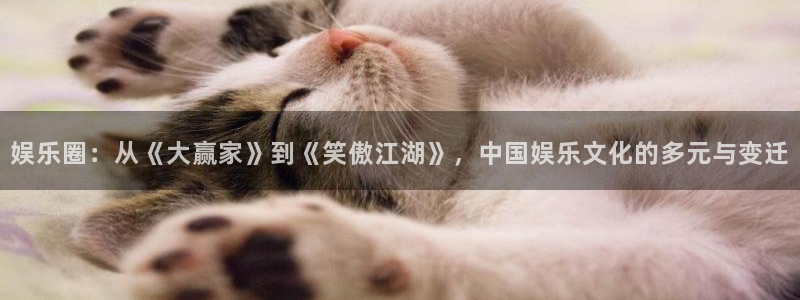 门徒娱乐免费注册：娱乐圈：从《大赢家》到《笑傲江湖》，中国娱乐文化的多元与变迁
