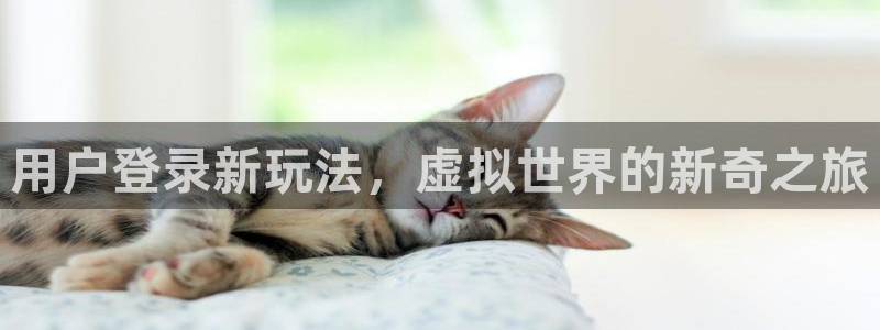 门徒娱乐软件：用户登录新玩法，虚拟世界的新奇之旅
