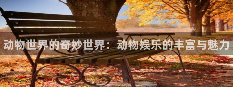 门徒娱乐集团总部：动物世界的奇妙世界：动物娱乐的丰富与魅力