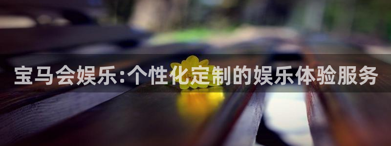 门徒娱乐2体育登录入口：宝马会娱乐:个性化定制的娱乐体验服务