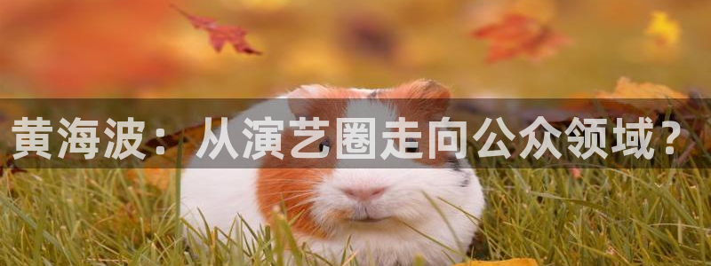 门徒娱乐注册平台：黄海波：从演艺圈走向公众领域？