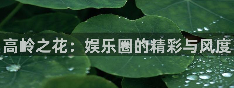 门徒娱乐app下载：高岭之花：娱乐圈的精彩与风度