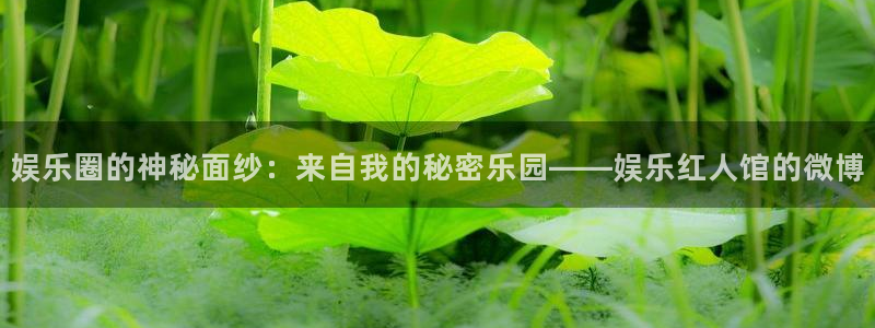 门徒娱乐平台官网登录入口：娱乐圈的神秘面纱：来自我的秘密乐园——娱乐红人馆的微博