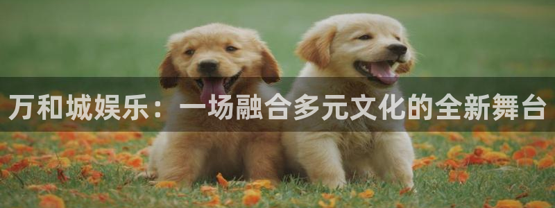 门徒娱乐招商：万和城娱乐：一场融合多元文化的全新舞台