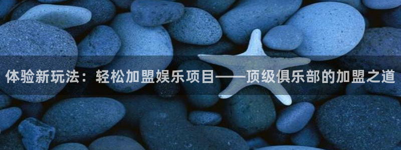 门徒娱乐4平台注册：体验新玩法：轻松加盟娱乐项目——顶级俱乐部的加盟之道
