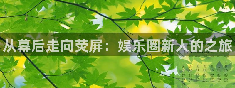 门徒娱乐账号注册：从幕后走向荧屏：娱乐圈新人的之旅