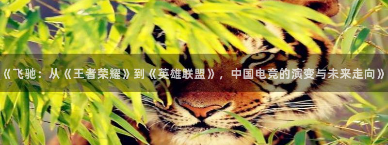 门徒娱乐平台官网版最新：《飞驰：从《王者荣耀》到《英雄联盟》，中国电竞的演变与未